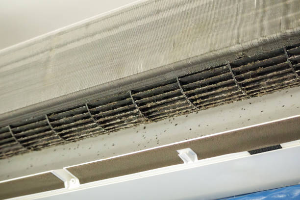 Best Dryer Vent Cleaning Services  in USA